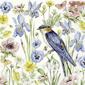 IHR y[p[ivLSPRING BLOOMS creami20j    ԕ fRp[W  fG  ؂₩ GKg nhCh