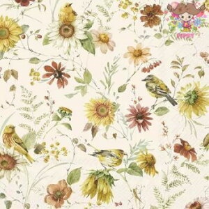 IHR y[p[ivLLATE SUMMER BEAUTIES creami20jЂ܂  t {^jJ ԕ VbN fRp[W  fG  nhCh