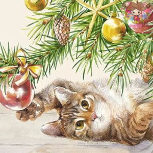 IHR y[p[ivLCHRISTMAS CAT creami20jNX}X NX}Xc[ L  fRp[W  fG  nhCh