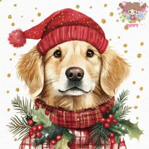 ti-flair y[p[ivLSimon(20) S[fgo[ NX}X }t[  fRp[W   fG GKg nhCh