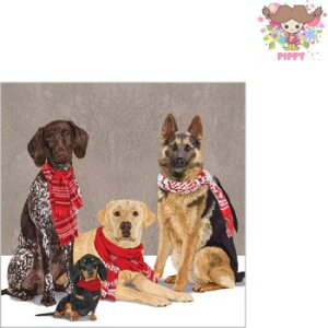 y25cmTCYzPPD y[p[ivLScarf Dogsi20j(W25cm×L25cm) VFp[h uh[ |C^[ _bNXth }t[  fG   GKg fRp[W n