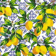 HOME FASHION ペーパーナプキン☆Citrus Branches on Tiles☆（1枚/バラ売り）シトラス レモン 果物 地中…