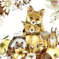 Paper+Design ペーパーナプキン ☆Nature Cuteness☆（1枚/バラ売り）きつね キツネ はりねずみ ハリネズ…