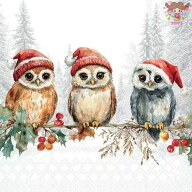 Ambiente ペーパーナプキン☆Wise Owls☆（1枚/バラ売り） クリスマス ふくろう 鳥 森 ボタニカル 冬柄 …