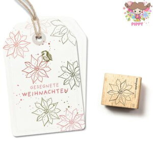 cats on appletrees X^vBlute 55 Weihnachtsstern Outline|CZ`A AEgC  NX}Xؐ v[g Ntg G ۈ牀 ct 搶y[֔z