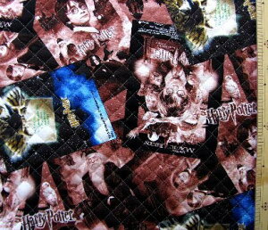 Q- LeBO n z n[|b^[ i F ) i Lg LeBOn z ̎q j̎q  w j