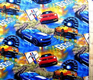 LN^[ AJ A n tH[h i Ford ) i u[ ) USARbg A