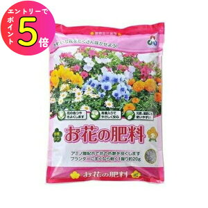 [Gg[P+5{] ƒ؉ 엿 Ԓd A Ԃ̔엿 2kg AOA