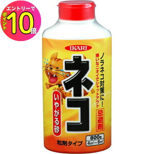 [10Gg[P10{!] lR L Ck  t A ₪鍻 800g    K[W ԏ CJŊ L ǔL mlR L悯 ǂo ǂ Uz ܂ h N h