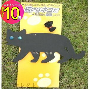 [10Gg[P10{!] y݂邵ĂŊ񂹕tȂz L΍ Rp lRɂ̓lR L悯 Lɂ̓lR Qb   ގ ˂ 쏜 悯  ˂ lR