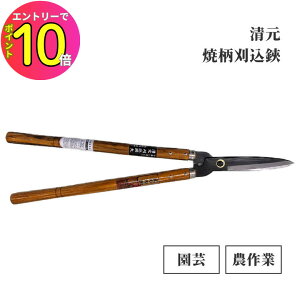 [10Gg[P10{!] 荞݂΂  #006 ĕ  K[fjO | _ Â  ΂ ͂| ͂ nT~ K[fnT~ |͂ oT~ 