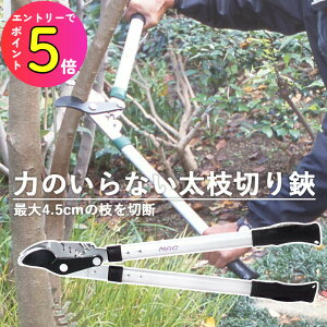 [|Cgő15{] yły͂ő}Jbgz}؂ ͂ ʂ31̗͂Őؒf }؂ ʎ ؔ ő4.5cm܂őΉ tbfH ED-51 MAp[v | | 