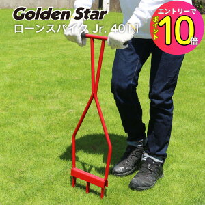 [10Gg[P10{!]  Ő GA[V [XpCN Jr. 4011 XpCN ؂ Ő S[fX^[ Golden Star Βn |  | ŐGA[V @  