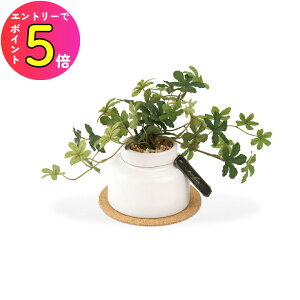 [|Cgő15{] LV} GNA LA[eBtBVO[ ^Cv(M) VK[pC ECLIA KH-61254 ϗtA tFCNO[ lH L CeAG 킢  