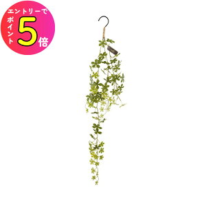 [|Cgő15{] LV} GNA LA[eBtBVO[ nMO VK[pC ECLIA KH-61263 ϗtA tFCNO[ lH L CeAG 킢  