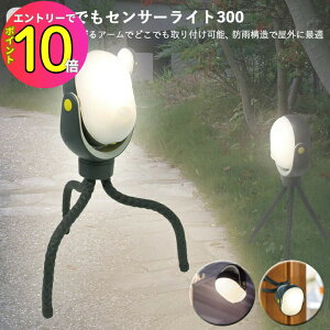 [9Gg[P10{!] Op ZT[Cg LED dF 邳300[ ASL-097 ǂłZT[Cg300 dr hJ^ Z ԏ L ʘH  󂫑 D_ ԏr炵 N