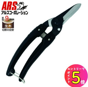 [|Cgő15{] AX t@~[fbNXubN 140B-BK| y ^ ubNdグ Trɂ OZ[ ԉp v K[fjO t[AW