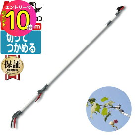 [エントリーでP10倍!] 【楽天ランキング1位 4冠達成】高枝切りバサミ 切って掴める!アンビルタイプで約50%握力軽減! 最長2.9m・最短1.9m 切断目安20mm アルス 184WZ-2.9-5D 伸縮式高枝鋏ズームチョキ倍力 | 高枝切 高枝 摘果鋏 収穫ハサミ 剪定鋏 高枝切りばさみ 高枝切り