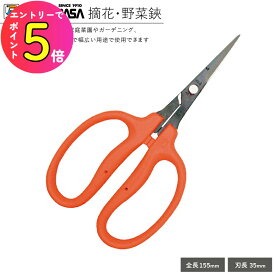 [エントリーでP+5倍] 【刃先が細くてぶどう摘果にぴったりなハサミ】花殻処理 ぶどう はさみ ぶどう 摘粒 摘房 房作り 収穫用 軽量はさみ 近正 B-500H | 摘果 野菜鋏 ブドウ鋏 ブドウ 摘果鋏 農作業 果樹 採果鋏 収穫はさみ ブドウハサミ ぶどうハサミ 葡萄ハサミ 葡萄