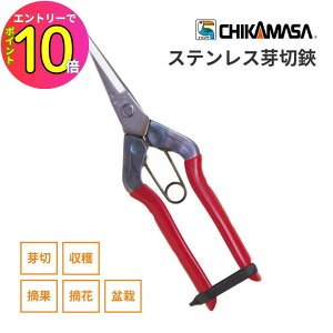 [9Gg[P10{!] ߐ T-550S XeX  n | ͂ nT~ |͂ K[fnT~ E͂ EʃnT~ nnT~ nT~|p |pnT~ |p͂ Eʂ͂