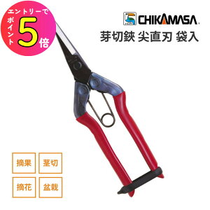 [Gg[P+5{] ߐ T-550  n | ͂ nT~ |͂ K[fnT~ E͂ EʃnT~ nnT~ |pnT~ Eʂ͂ E ʎ |pi K[fjOpi K