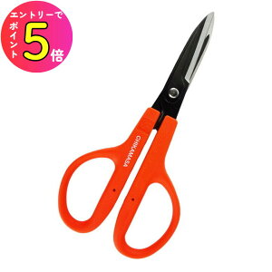 [|Cgő15{] U[Ntg v؂ NS-170E t[XgLe 炩nh |  |  ԉ t[AWg  pr ߐ ͂ nT~ |͂ E͂ 