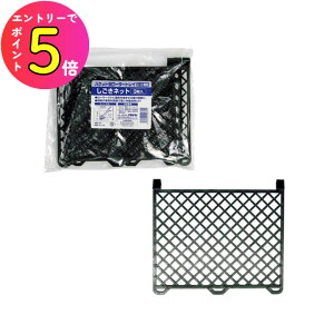 [_tf[P10{!] h h yL  nP M BT-N3 oPbgpVSLlbg 3Zbg hpi:[[nPpi ATqy