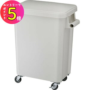 [|Cgő15{] RISU X ƖpS~ GGYK001 ~[pLX^[y[ 45L O[ ƒpi Ɩp|pi | S~e S~ _Xg{bNX