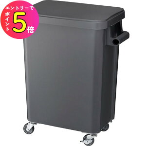 [|Cgő15{] RISU X ƖpS~ GGYK003 ~[pLX^[y[ 45L _[NO[ ƒpi Ɩp|pi | S~e S~ _Xg{bNX