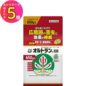 [|Cgő15{] ZFw| |pGFIg 650g E