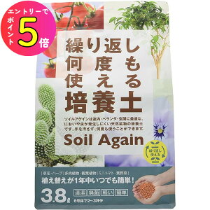 [10Gg[P10{!] ϗtA | y oȂ  JԂg \CAQC 3.8L 422048 g`[ ƒ뉀|p|{y