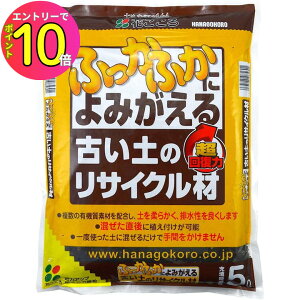 [10Gg[P10{!] y邾ŌÂyӂӂɂ݂!!zÂỹTCN 5L Ԃ