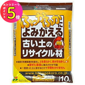 [10Gg[P10{!] y邾ŌÂyӂӂɂ݂!!zÂỹTCN 10L Ԃ