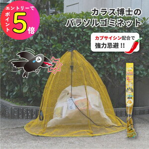 [10Gg[P10{!] yJXhz(Zp)zJXlbg 45LS~ 1`2ܗp S~u BOX^ ˌ ꌬ }V Ap[g b΍ Qb΍ Z Q n