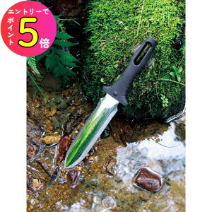 [|Cgő15{] AEghA iCt m NO.800 R }J^i }ł }؂ M   K[fjO cA G _CrO ToCo @ R؎ Vx Vx XR