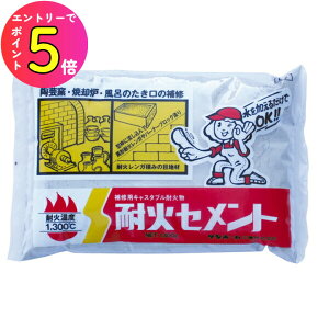 [|Cgő15{] Tz[ BF1.3 ω΃Zg 1.3kg