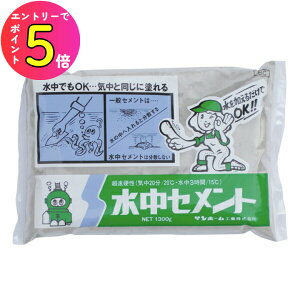 [|Cgő15{] Tz[ BC1.3 Zg 1.3kg DF