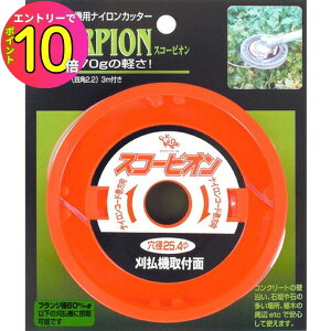 [9Gg[P10{!] ѓSH ZteB XR[sI 蓮 @piCJb^[ y