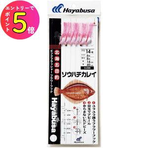 [Gg[P+5{] nuT (Hayabusa) ނ d| ނj @JC sNtbV[ t[ 6{ S-298 18 nX8