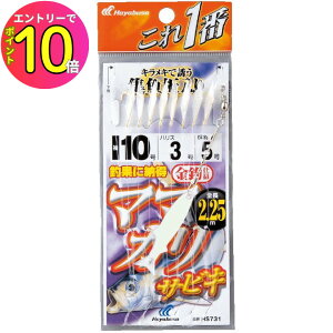 [10Gg[P10{!] nuT (Hayabusa) ނ d| TrL  }}JTrL  8{j HS731 6 nX1.5