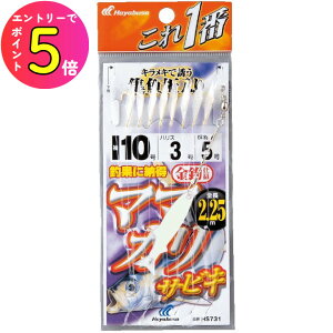 [Gg[P+5{] nuT (Hayabusa) ނ d| TrL  }}JTrL  8{j HS731 10 nX3