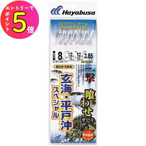 [|Cgő15{] nuT (Hayabusa) ނ d| TrL 킹TrL CEˉXyV SS406 9 nX16