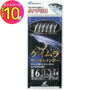 [9Gg[P10{!] nuT (Hayabusa) ނ d| TrL AW PCTo烌C{[ HS100 8 nX2