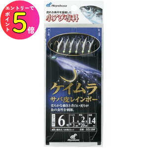 [|Cgő15{] nuT (Hayabusa) ނ d| TrL AW PCTo烌C{[ HS100 10 nX3