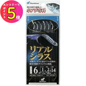 [|Cgő15{] nuT (Hayabusa) ނ d| TrL AW AVX HS201 9 nX2