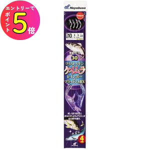 [|Cgő15{] nuT (Hayabusa) ނ d| TrL TrL30 PC&uCgMIX SS172 11 nX4