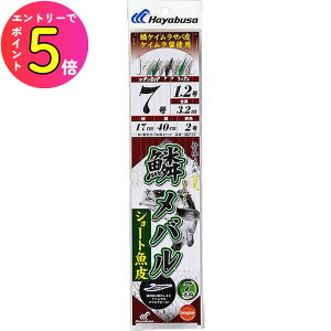 [|Cgő15{] nuT (Hayabusa) ނ d| ނj D ؃o V[g 7{b SD737 5 nX0.8