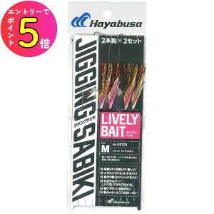 [|Cgő15{] nuT (Hayabusa) ނ d| TrL hWMOTrLEXCu[xCg2{b FS701 AJL LTCY