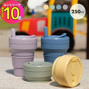 [10Gg[P10{!] Ki ^u[ stojo JR.CUP 250ml H@ dqW Ή Xg[t qǂ q LbY  }CJbv ۈ牀 ct wZ  Vv v[g | 