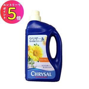 [_tf[P10{!] _I̍p d ؂ h{ NU[t[t[h NU[